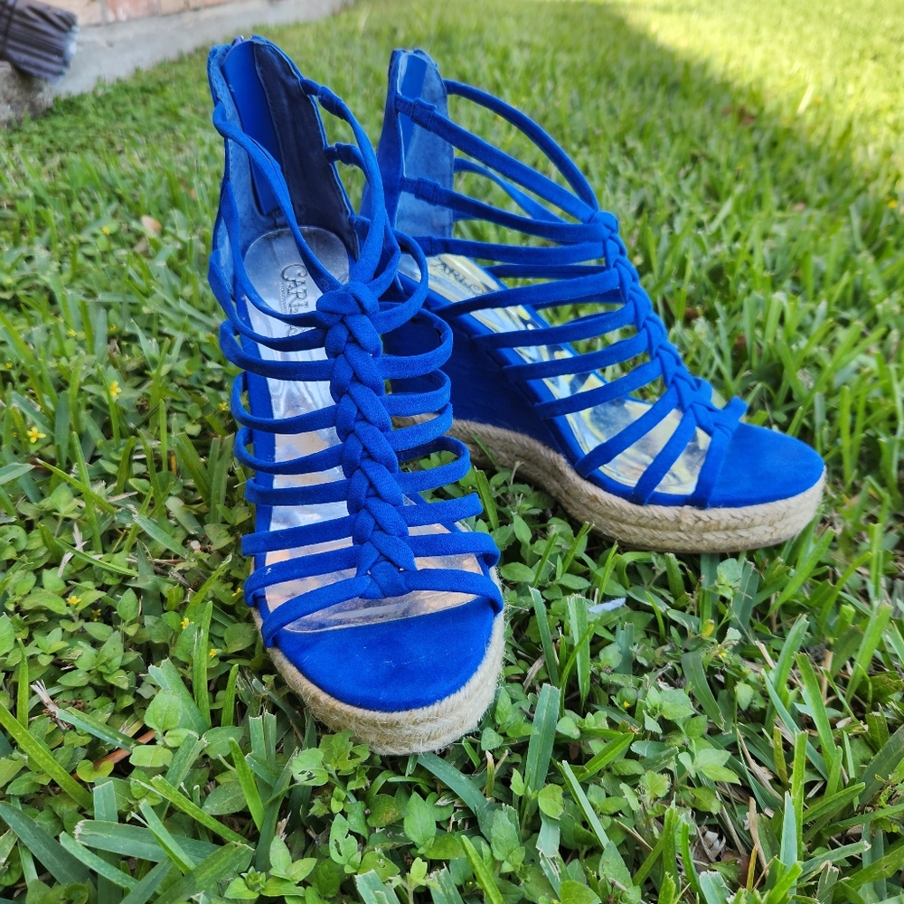 Carlos By Carlos Santana Camilla Platform Blue Strappy Wedge Sandals